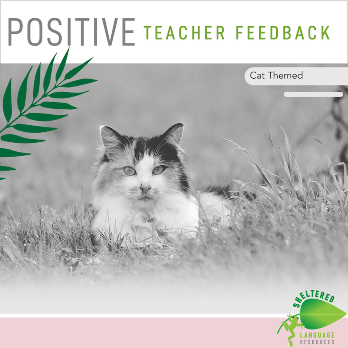 An educational teaching resource from Sheltered Language Resources entitled Positive Teacher Feedback and Observation Forms Cat Themed downloadable at Teach Simple.