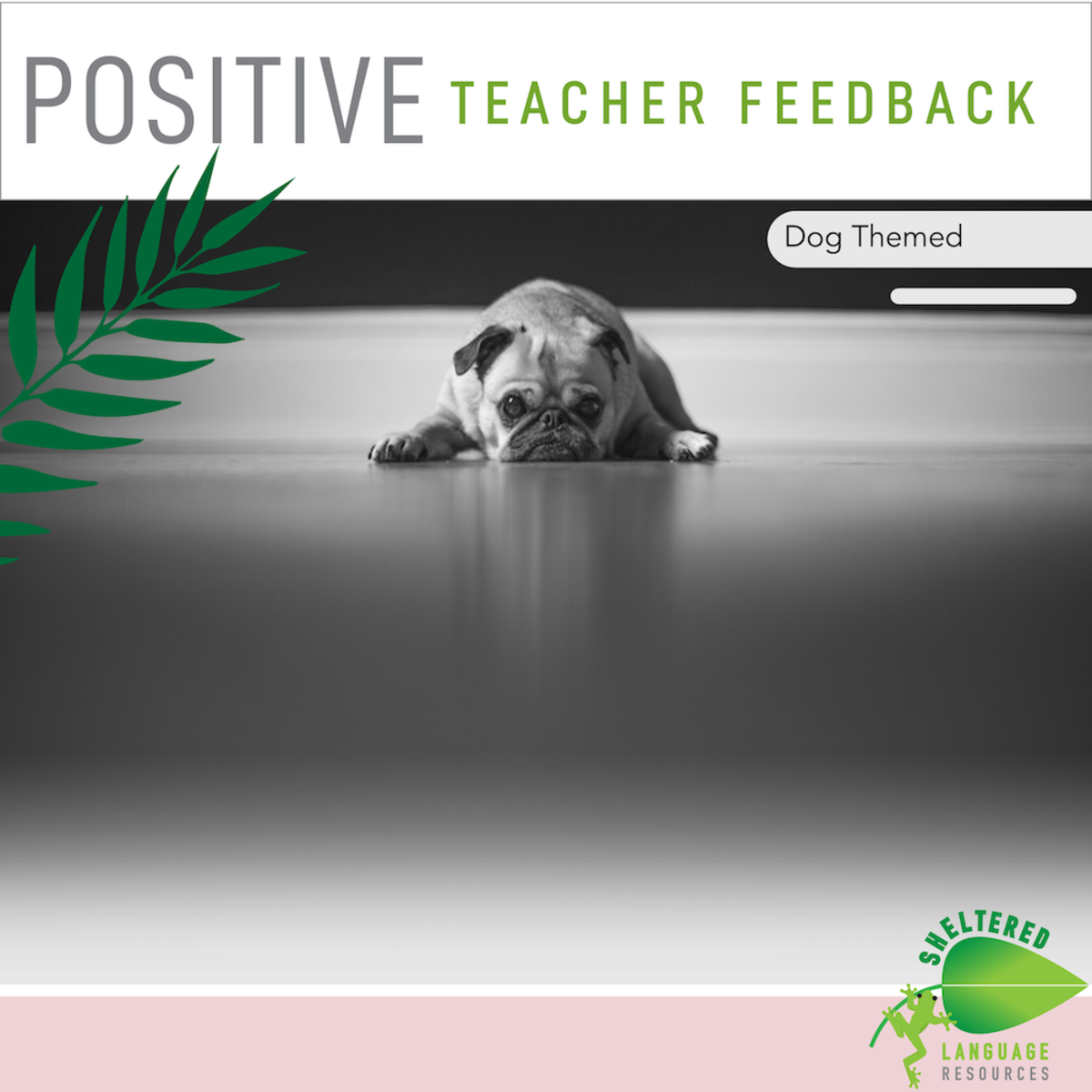 An educational teaching resource from Sheltered Language Resources entitled Positive Teacher Feedback and Observation Forms Dog Themed downloadable at Teach Simple.