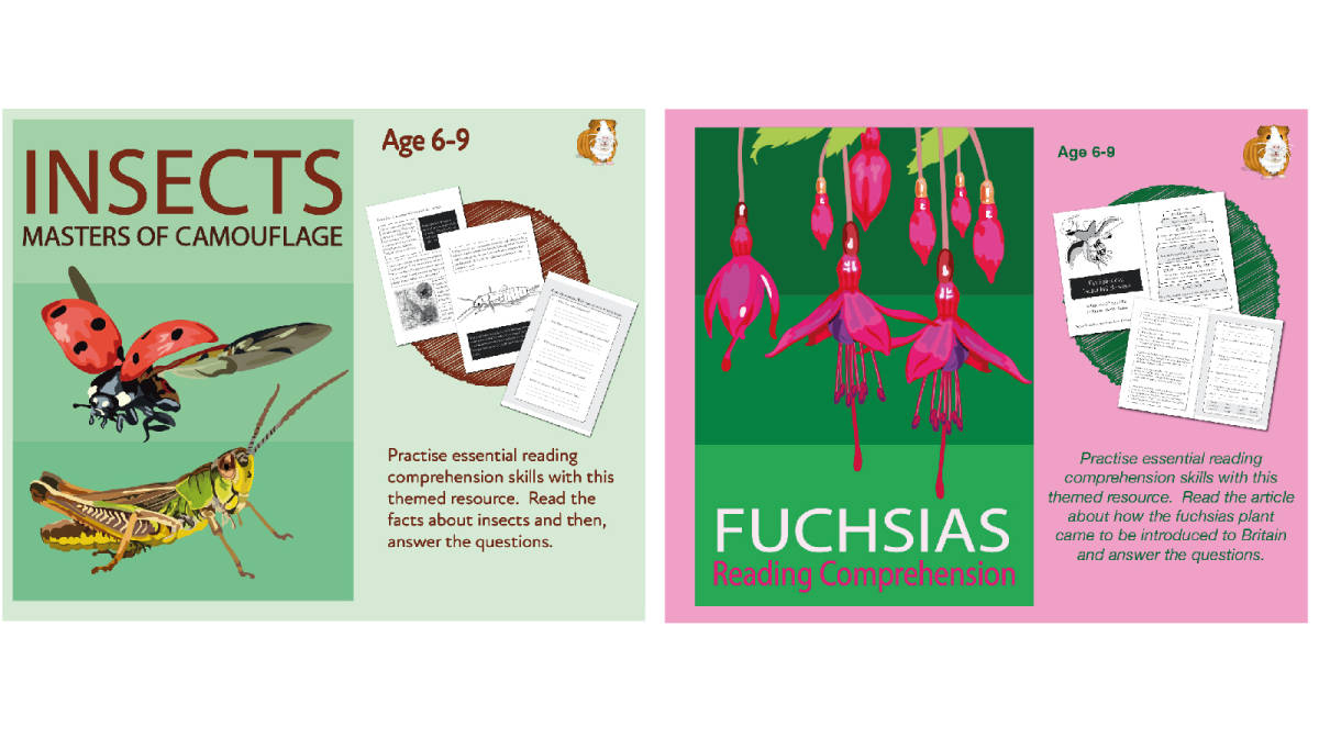An educational teaching resource from Guinea Pig Education entitled Practise Close Reading Comprehension: Insects & Fuchsias (6-9 years) downloadable at Teach Simple.