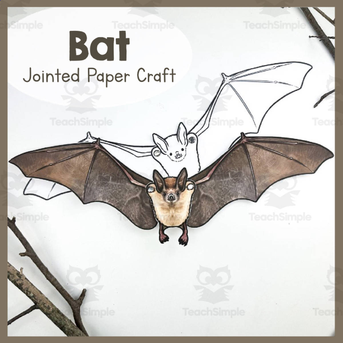 An educational teaching resource from Simply Schoolgirl entitled Printable Jointed Bat Animal Craft downloadable at Teach Simple.