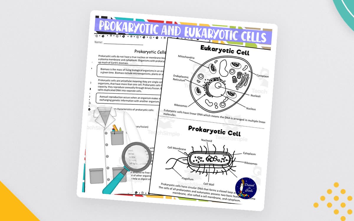 An educational teaching resource from Soumara Siddiqui entitled Prokaryotic and Eukaryotic Cells Worksheets downloadable at Teach Simple.