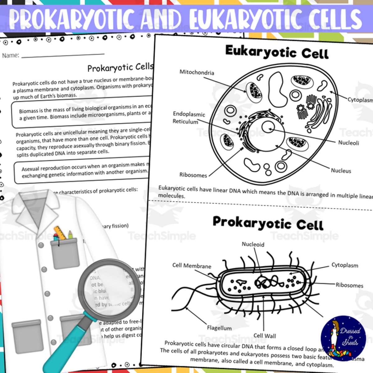 An educational teaching resource from Soumara Siddiqui entitled Prokaryotic and Eukaryotic Cells Worksheets downloadable at Teach Simple.