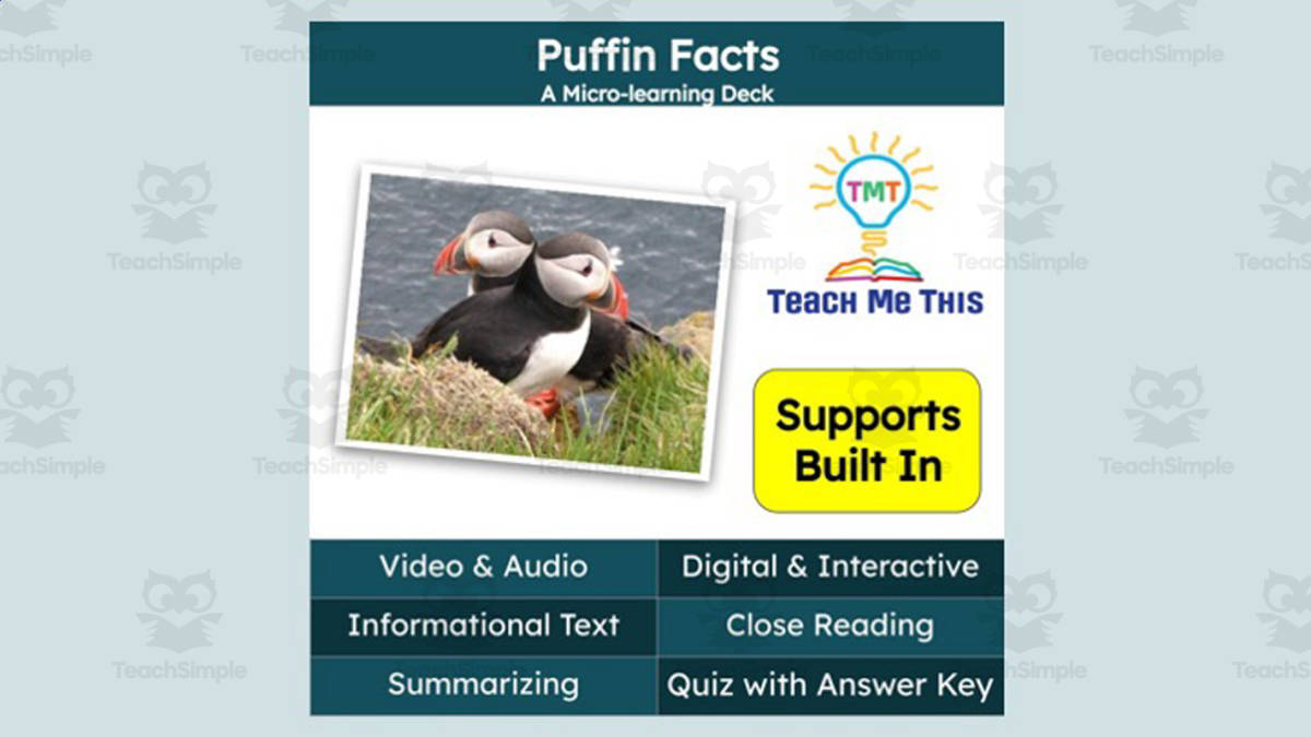 An educational teaching resource from Teach Me This entitled Puffin Facts | Interactive Science Lesson | Micro-Learning Deck downloadable at Teach Simple.