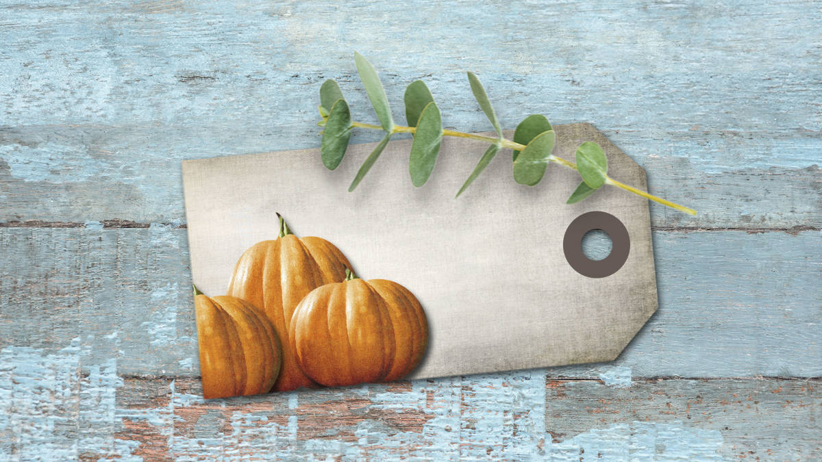 An educational teaching resource from Forever June Digital Design entitled Pumpkin Gift Tags, Thanksgiving Gift Topper, Fall Notecard downloadable at Teach Simple.
