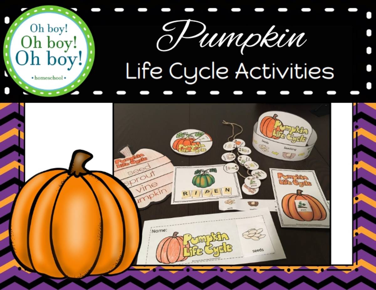An educational teaching resource from Oh Boy Homeschool entitled Pumpkin Life Cycle Activities downloadable at Teach Simple.