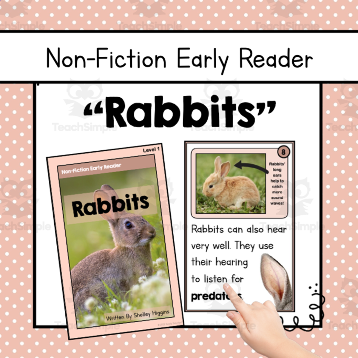 An educational teaching resource from Simply Schoolgirl entitled "Rabbits" | Differentiated Spring Nonfiction Book and Comprehension downloadable at Teach Simple.