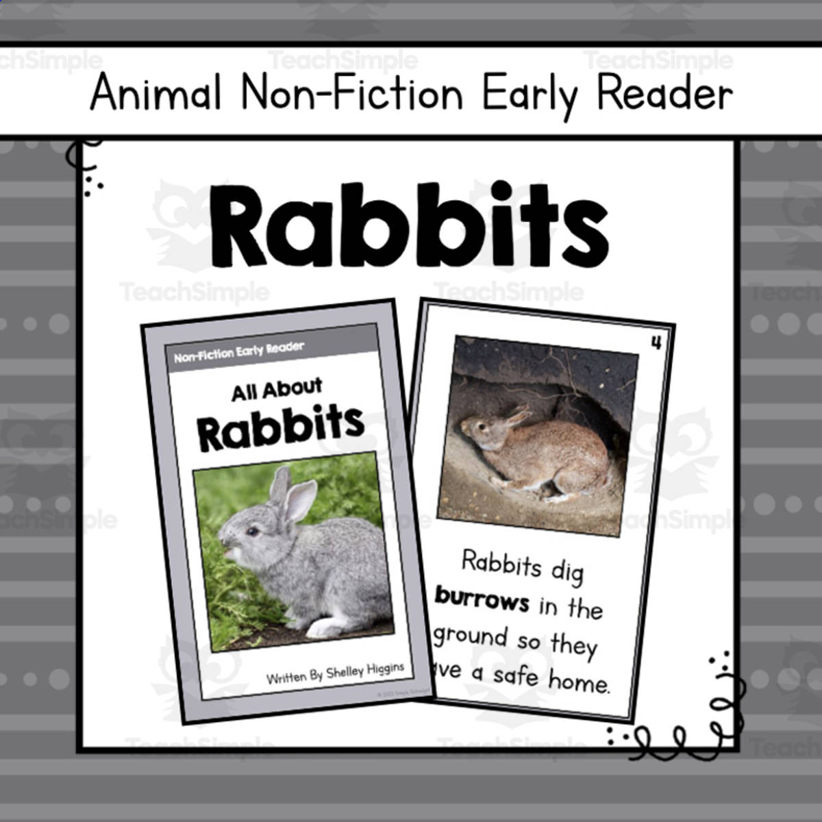 An educational teaching resource from Simply Schoolgirl entitled Rabbits Early Reader Nonfiction Book downloadable at Teach Simple.