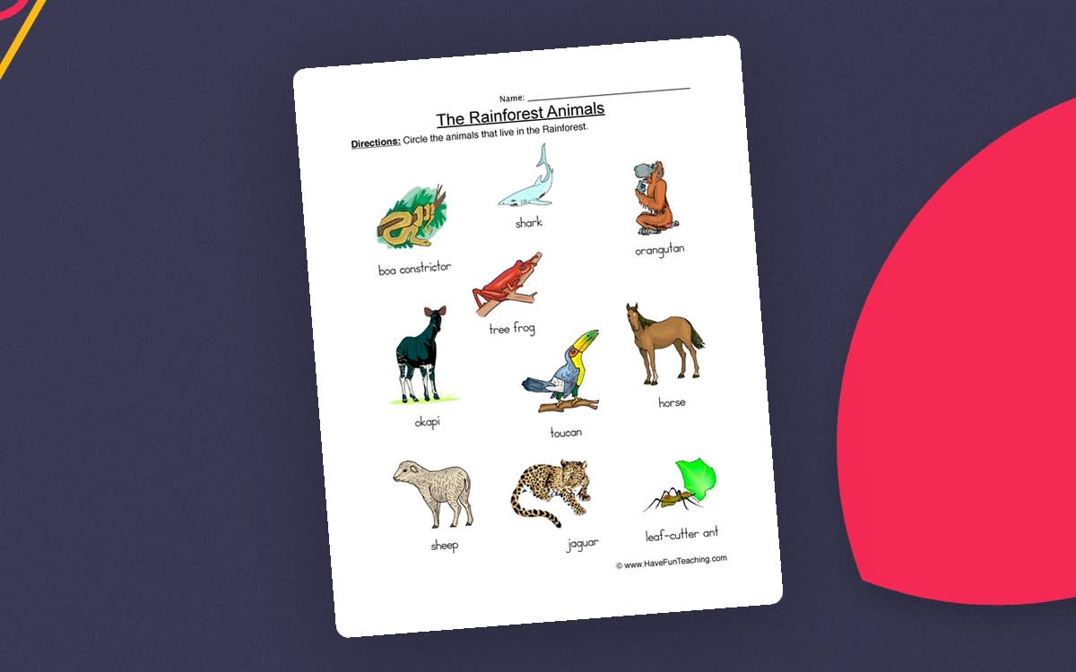 An educational teaching resource from Have Fun Teaching entitled Rainforest Animals Worksheet downloadable at Teach Simple.