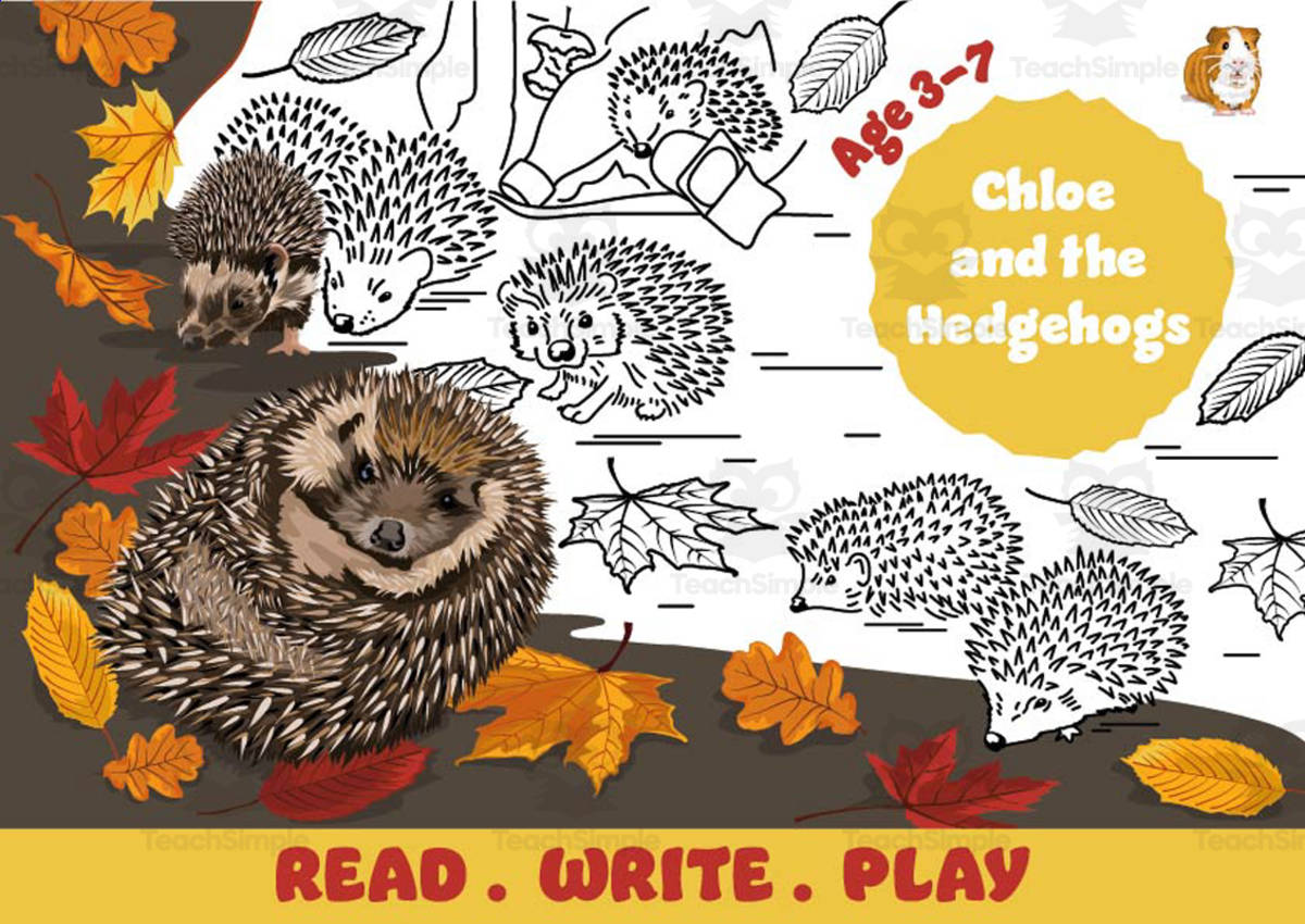 An educational teaching resource from Guinea Pig Education entitled Read, Write and Play - Chloe and the Hedgehogs downloadable at Teach Simple.