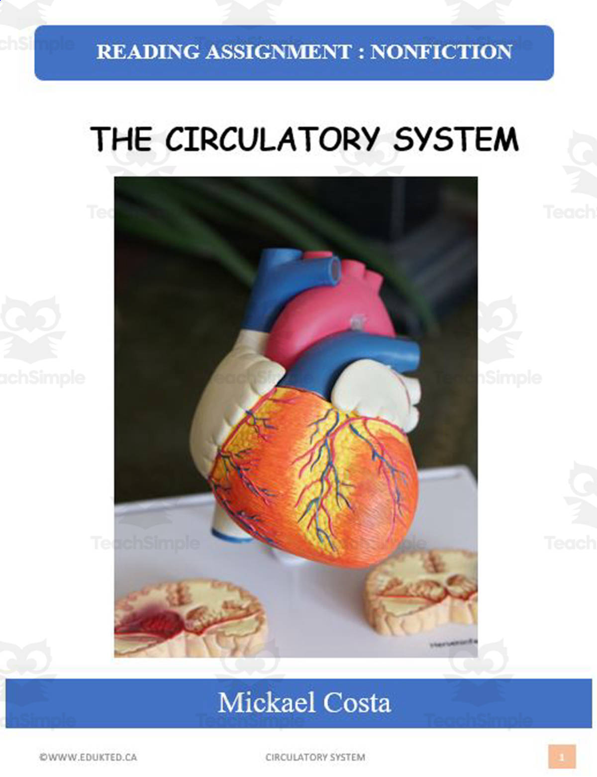 An educational teaching resource from Learn it ANY way entitled Reading assignment: Circulatory system downloadable at Teach Simple.