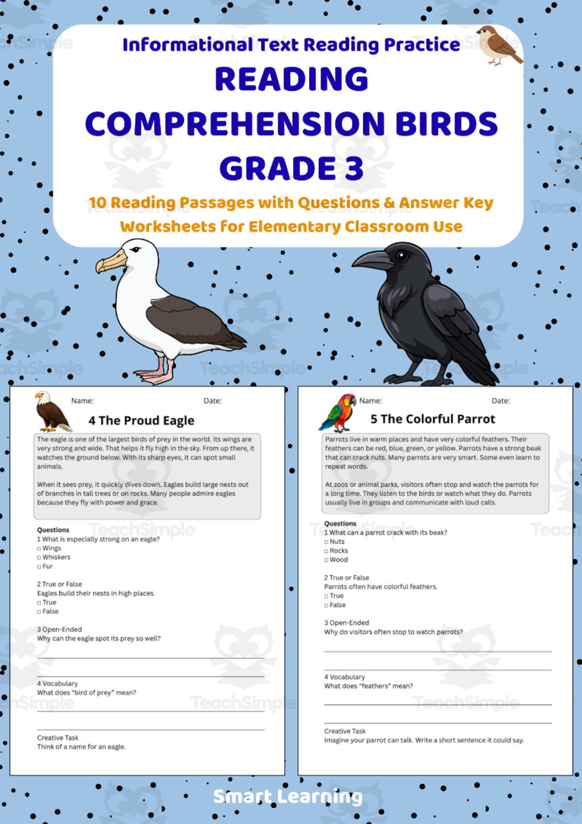 An educational teaching resource from Smart Learning Classroom entitled Reading Comprehension Birds | Grade 3 Reading Activities downloadable at Teach Simple.