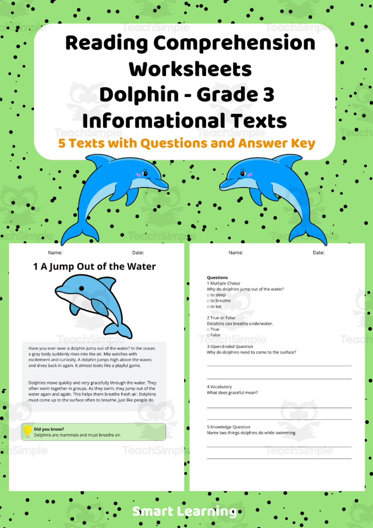 An educational teaching resource from Smart Learning Classroom entitled Reading Comprehension Dolphin | Grade 3 Informational Texts downloadable at Teach Simple.