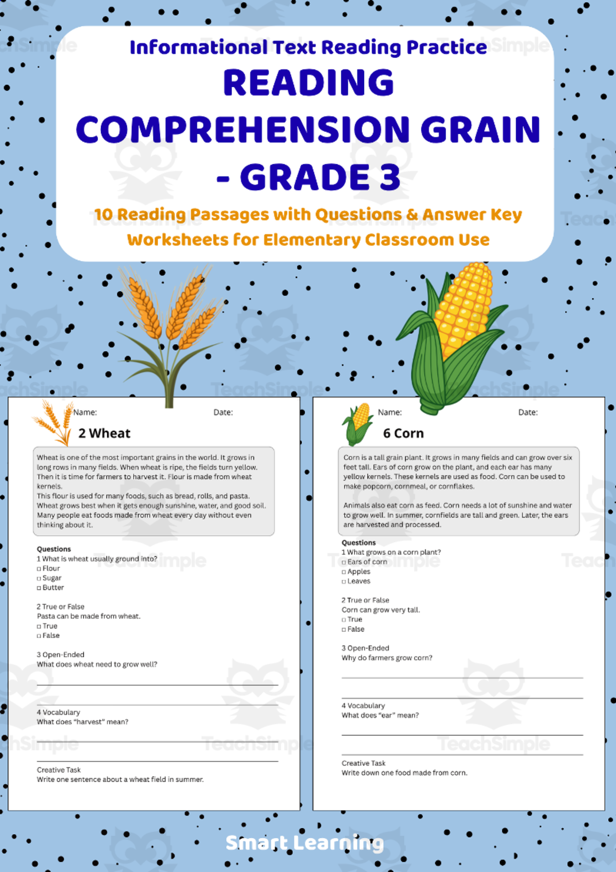 An educational teaching resource from Smart Learning Classroom entitled Reading Comprehension Grain | Grade 3 Reading Activities downloadable at Teach Simple.