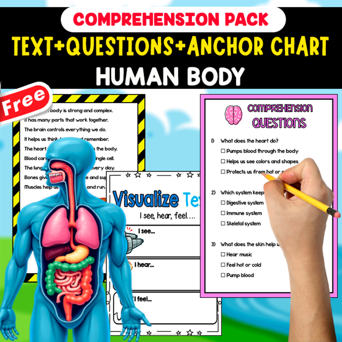 An educational teaching resource from EDITORIAL LAURA EDUCA entitled READING-COMPREHENSION | HUMAN BODY | 20 FREE PAGES downloadable at Teach Simple.