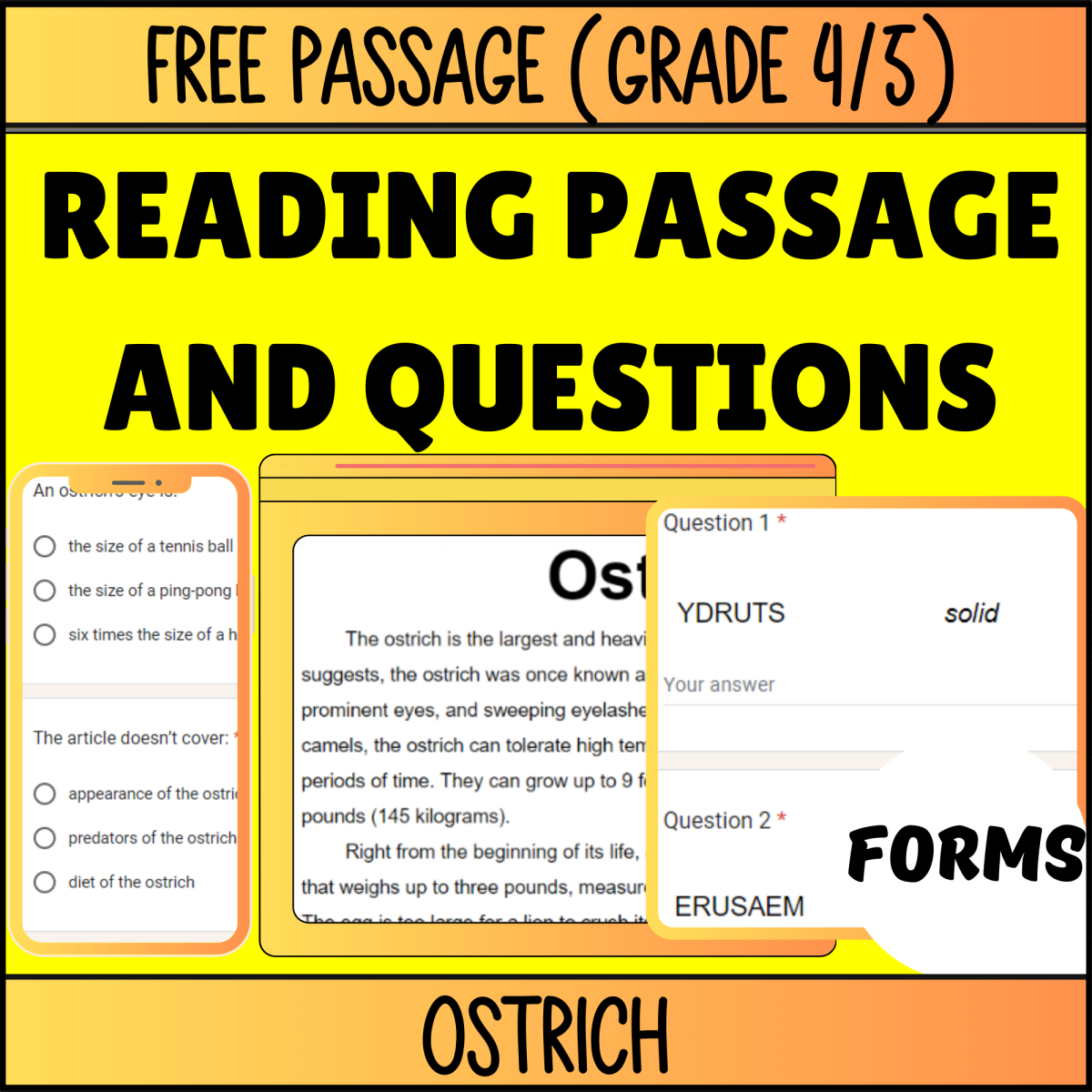 An educational teaching resource from Cored Education entitled Reading Comprehension Nonfiction Set 1 Sample - Ostrich (Forms) downloadable at Teach Simple.