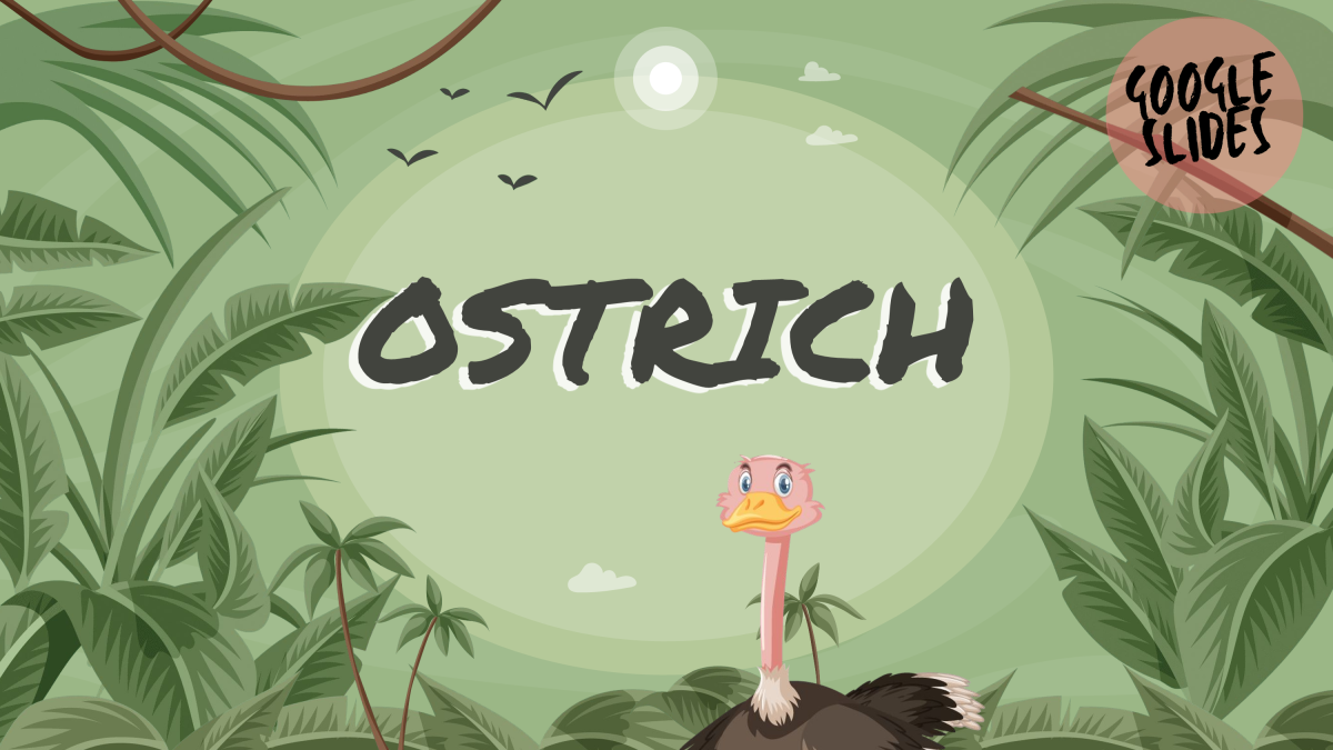 An educational teaching resource from Cored Education entitled Reading Comprehension Nonfiction Set 1 Sample - Ostrich (Slides) downloadable at Teach Simple.