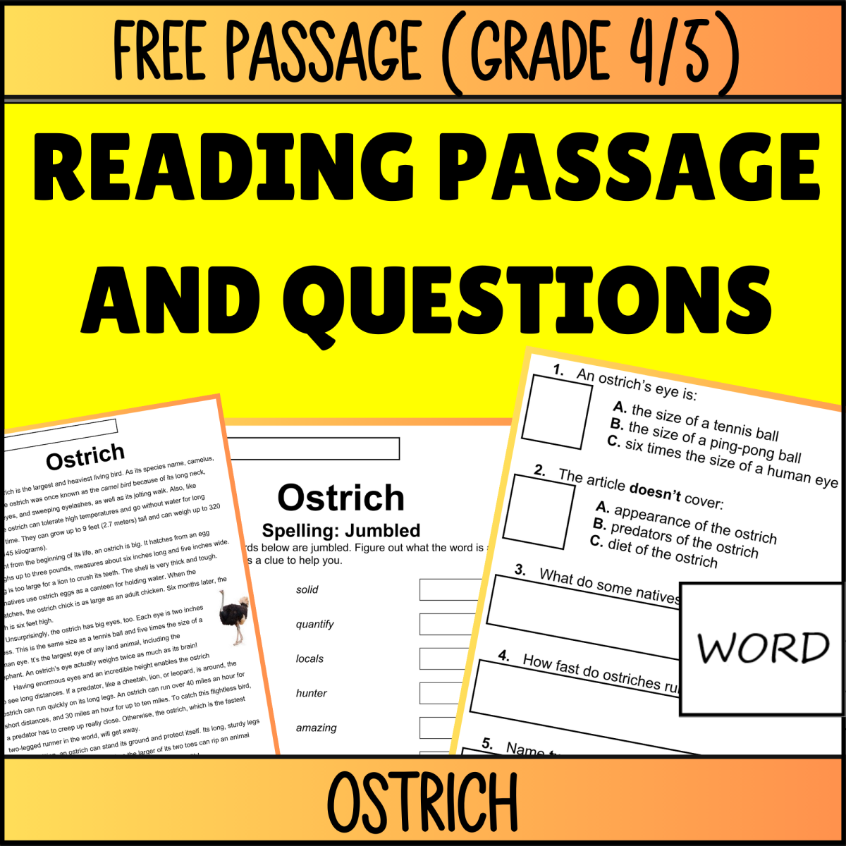An educational teaching resource from Cored Education entitled Reading Comprehension Nonfiction Set 1 Sample - Ostrich (Word) downloadable at Teach Simple.