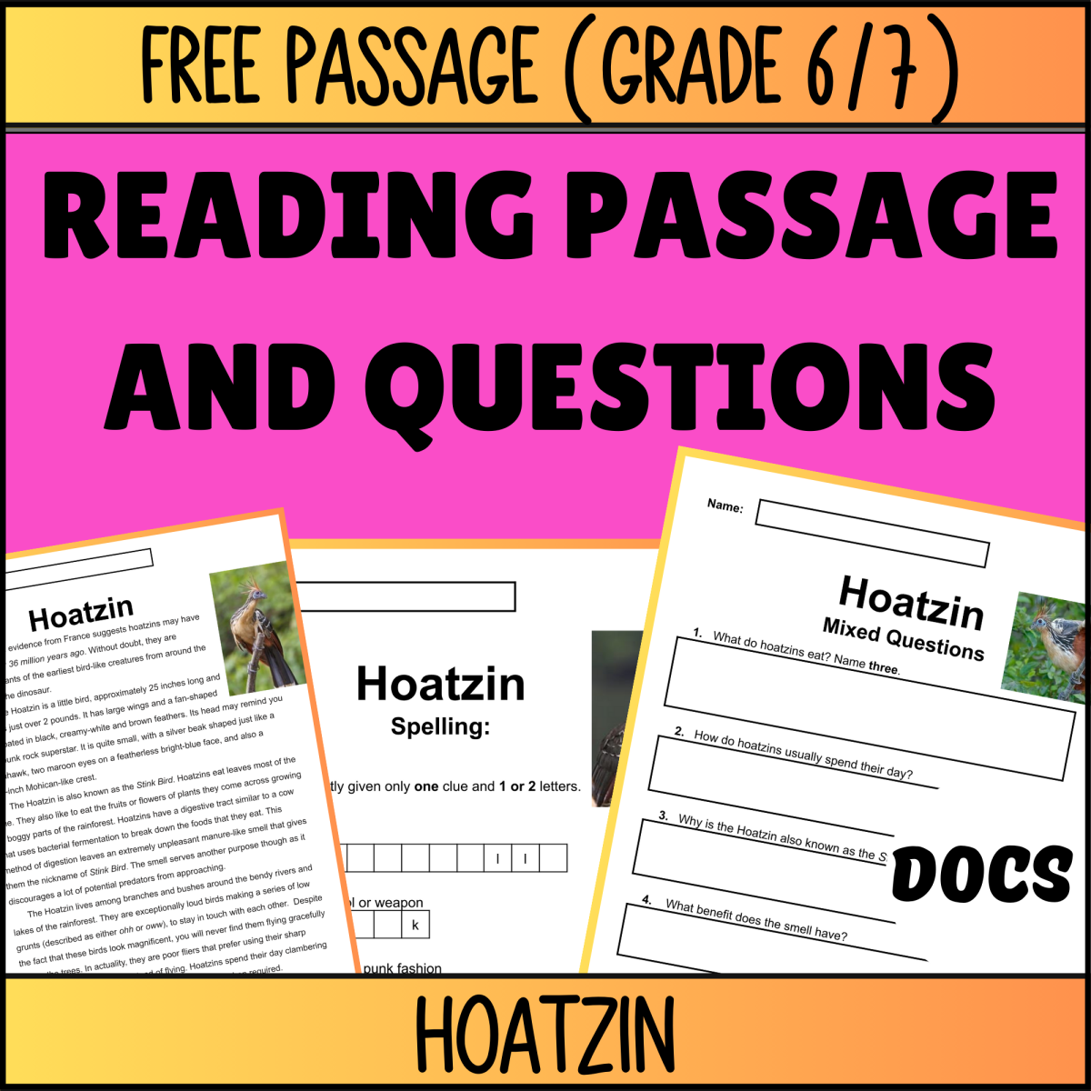 An educational teaching resource from Cored Education entitled Reading Comprehension Nonfiction Set 2 Sample: Hoatzin (Docs) downloadable at Teach Simple.
