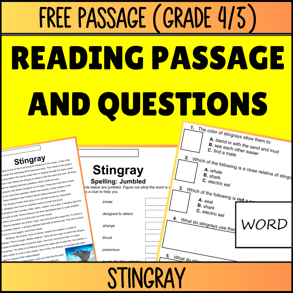 An educational teaching resource from Cored Education entitled Reading Comprehension Nonfiction Set 5 Sample: Stingray (Word) downloadable at Teach Simple.