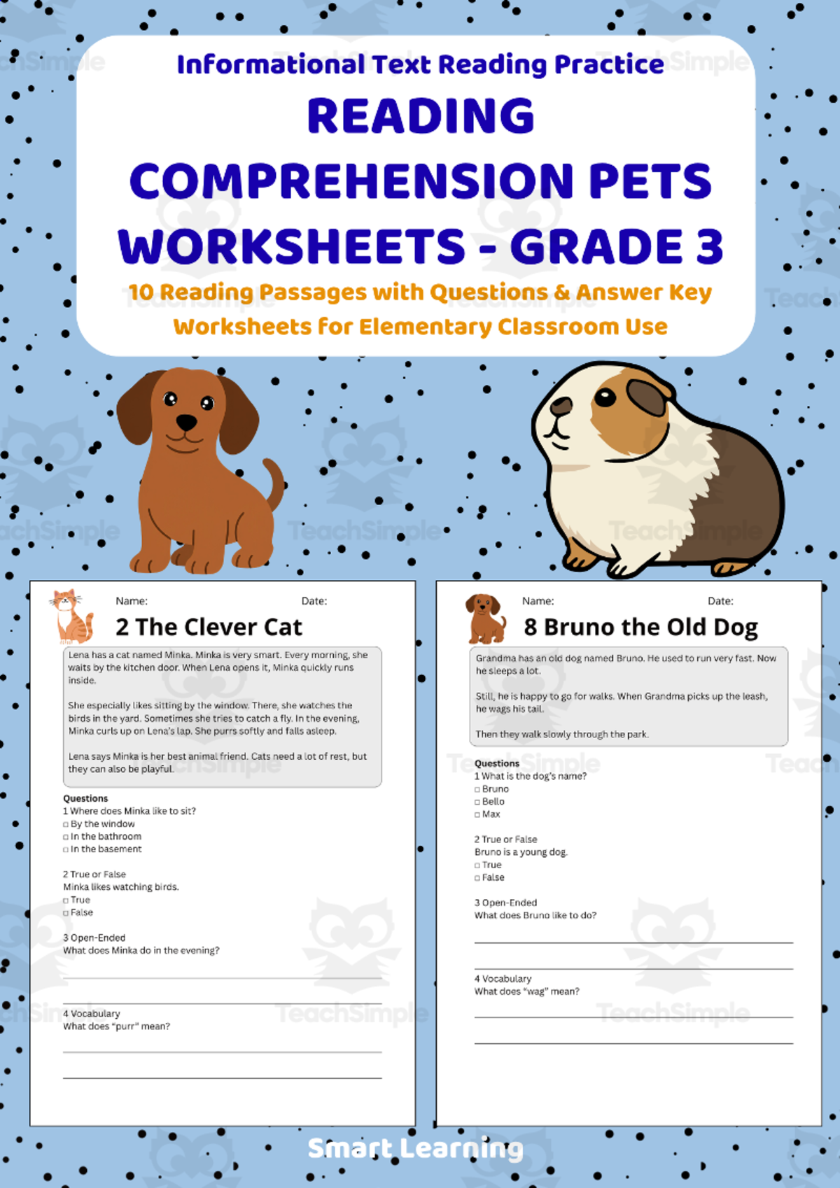 An educational teaching resource from Smart Learning Classroom entitled Reading Comprehension Pets | Grade 3 Reading Activities downloadable at Teach Simple.