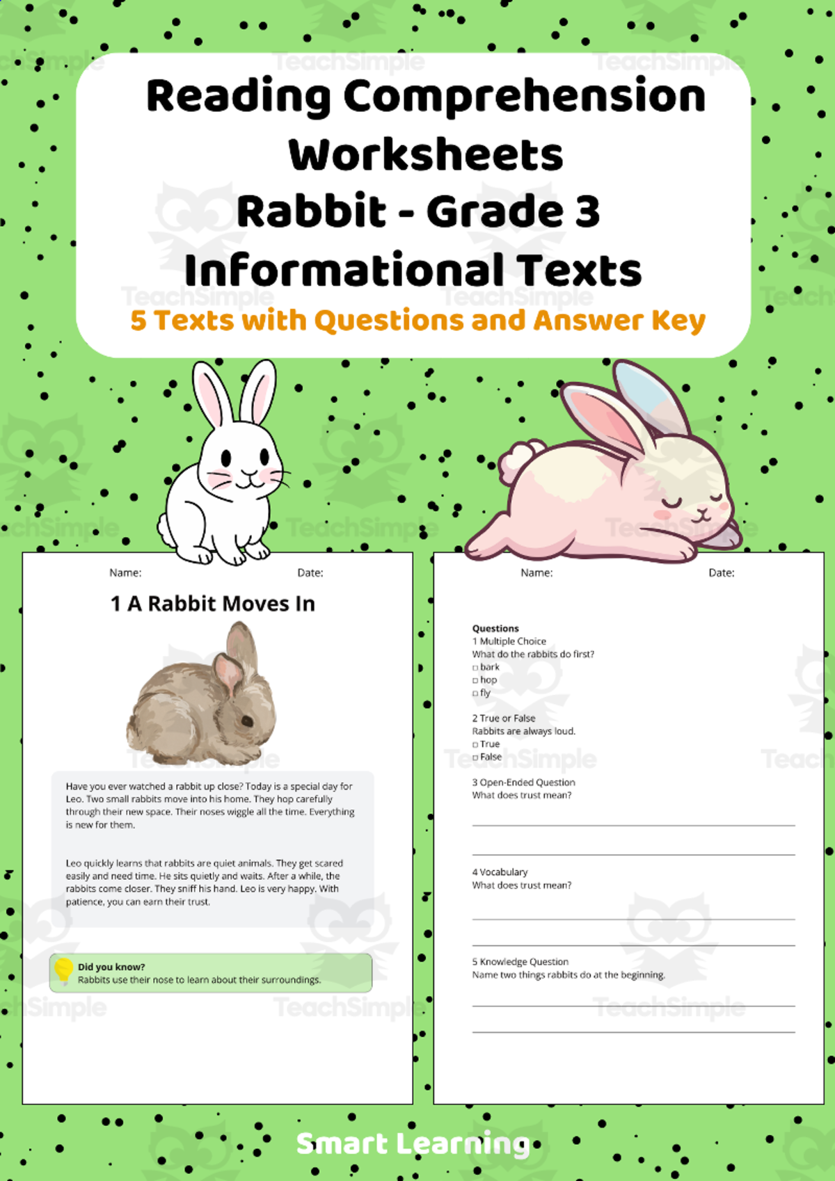 An educational teaching resource from Smart Learning Classroom entitled Reading Comprehension Rabbit | Grade 3 Informational Texts downloadable at Teach Simple.