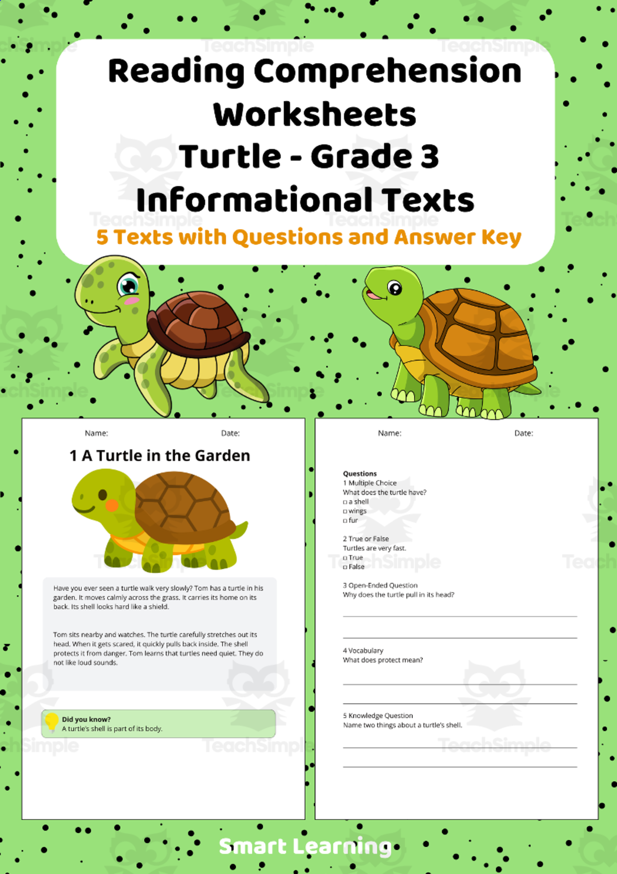 An educational teaching resource from Smart Learning Classroom entitled Reading Comprehension Turtle | Grade 3 Informational Texts downloadable at Teach Simple.