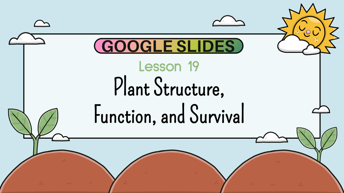 An educational teaching resource from Cored Education entitled Reading Passage 19: Plant Structure, Function, and Survival (Slides) downloadable at Teach Simple.