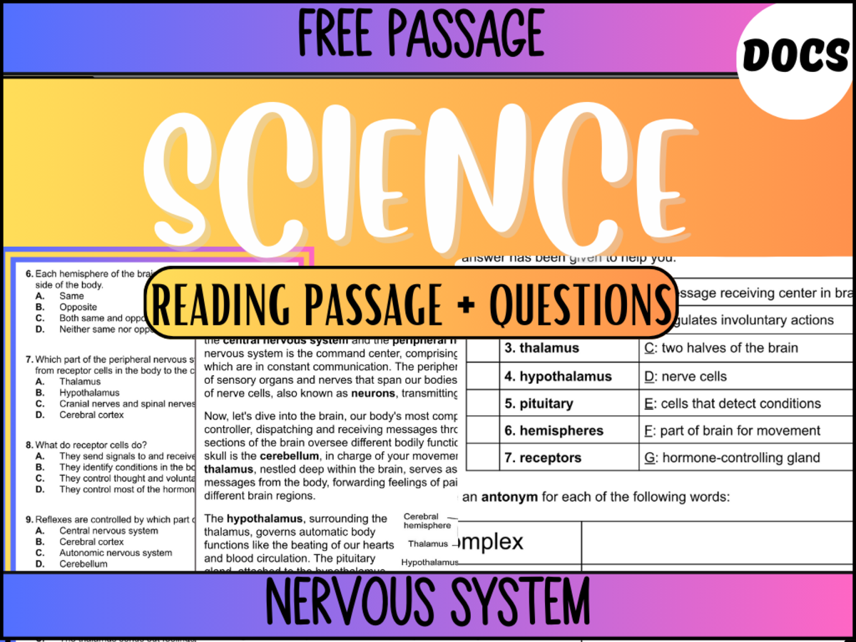 An educational teaching resource from Cored Education entitled Reading Passage 25: Nervous System (Google Docs) downloadable at Teach Simple.