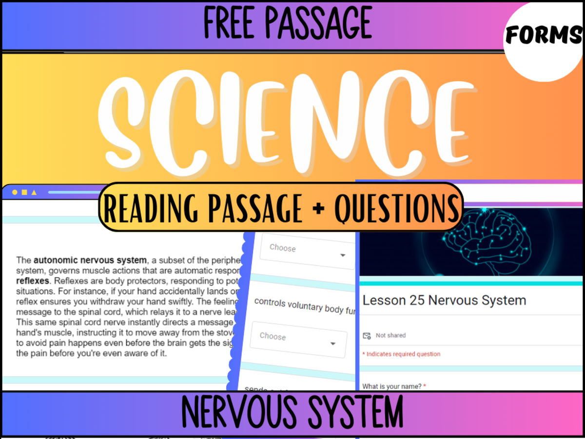 An educational teaching resource from Cored Education entitled Reading Passage 25: Nervous System (Google Forms) downloadable at Teach Simple.