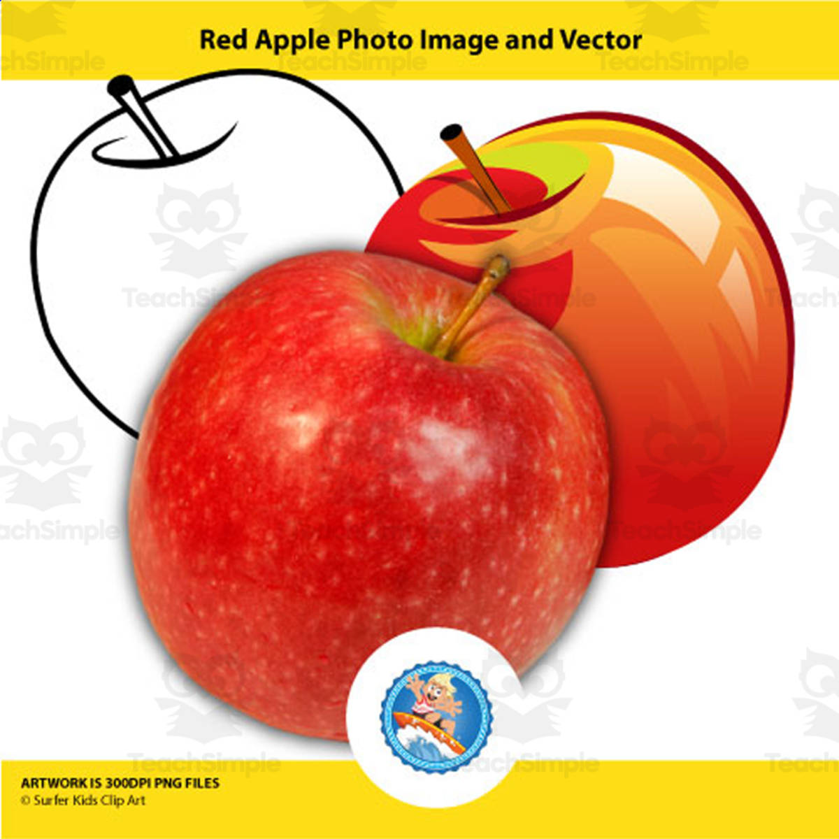 An educational teaching resource from Surfer Kids Clip Art entitled Red Apple Photo Image and Vector downloadable at Teach Simple.