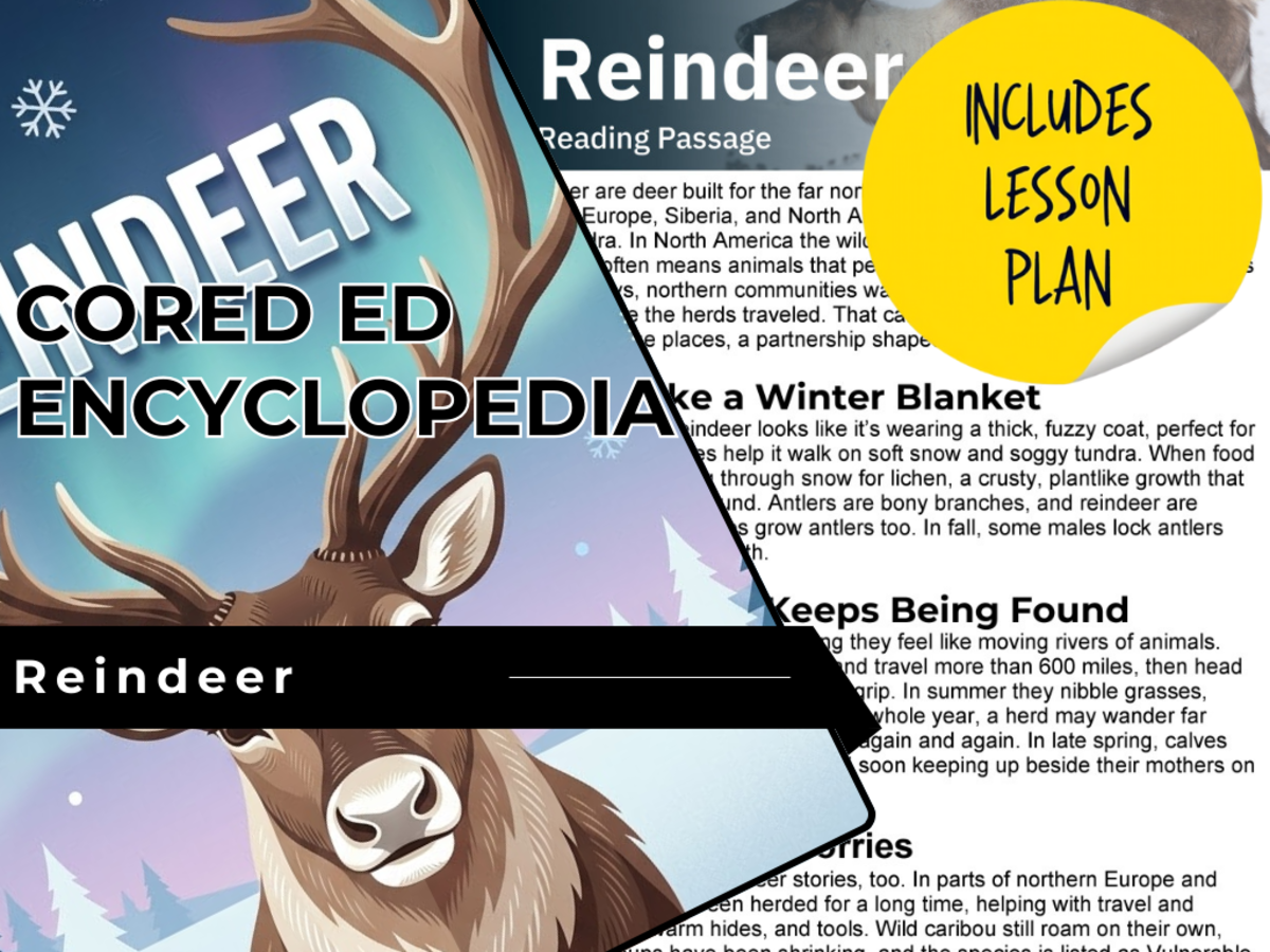 An educational teaching resource from Cored Education entitled Reindeer Reading Comprehension Passage - Cored Ed Encyclopedia downloadable at Teach Simple.