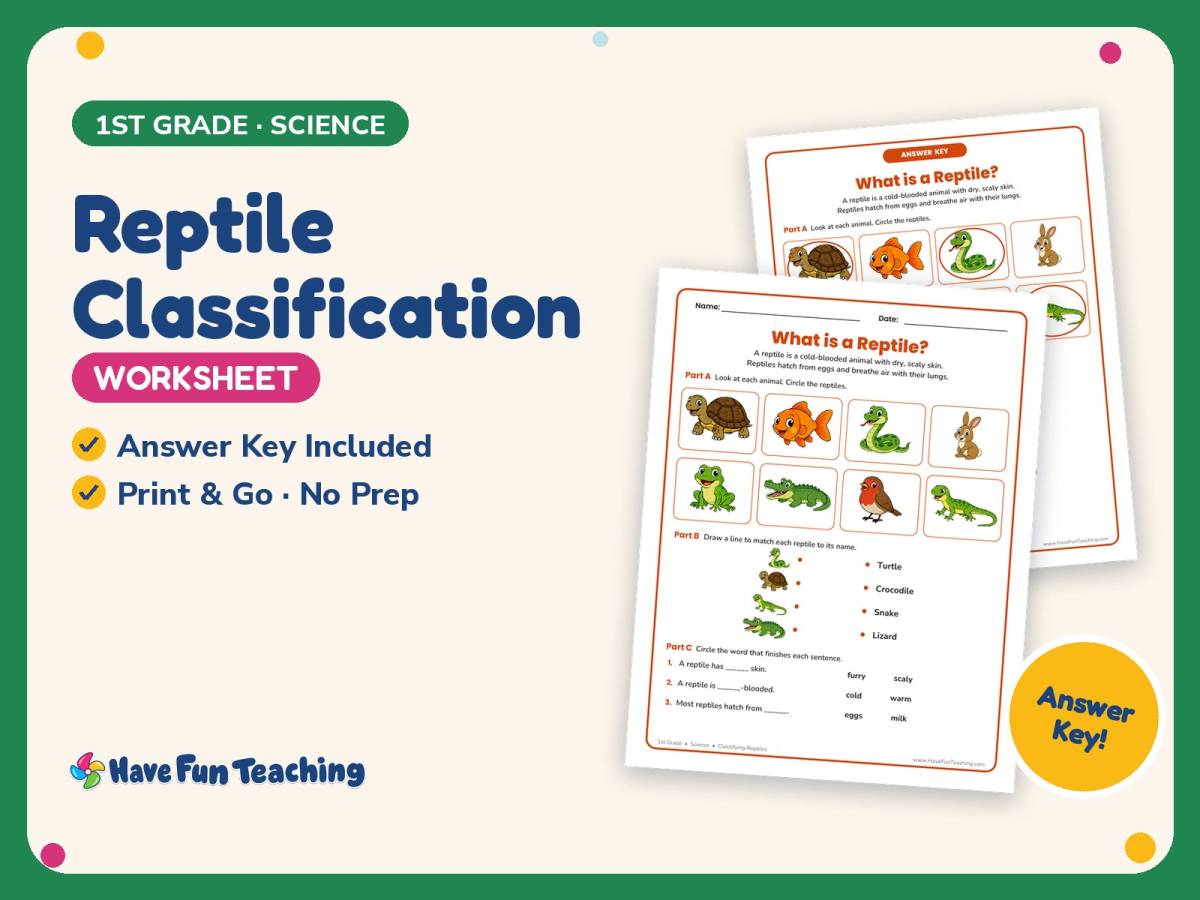Reptile Classification Worksheet – 1st Grade Animals Practice preview