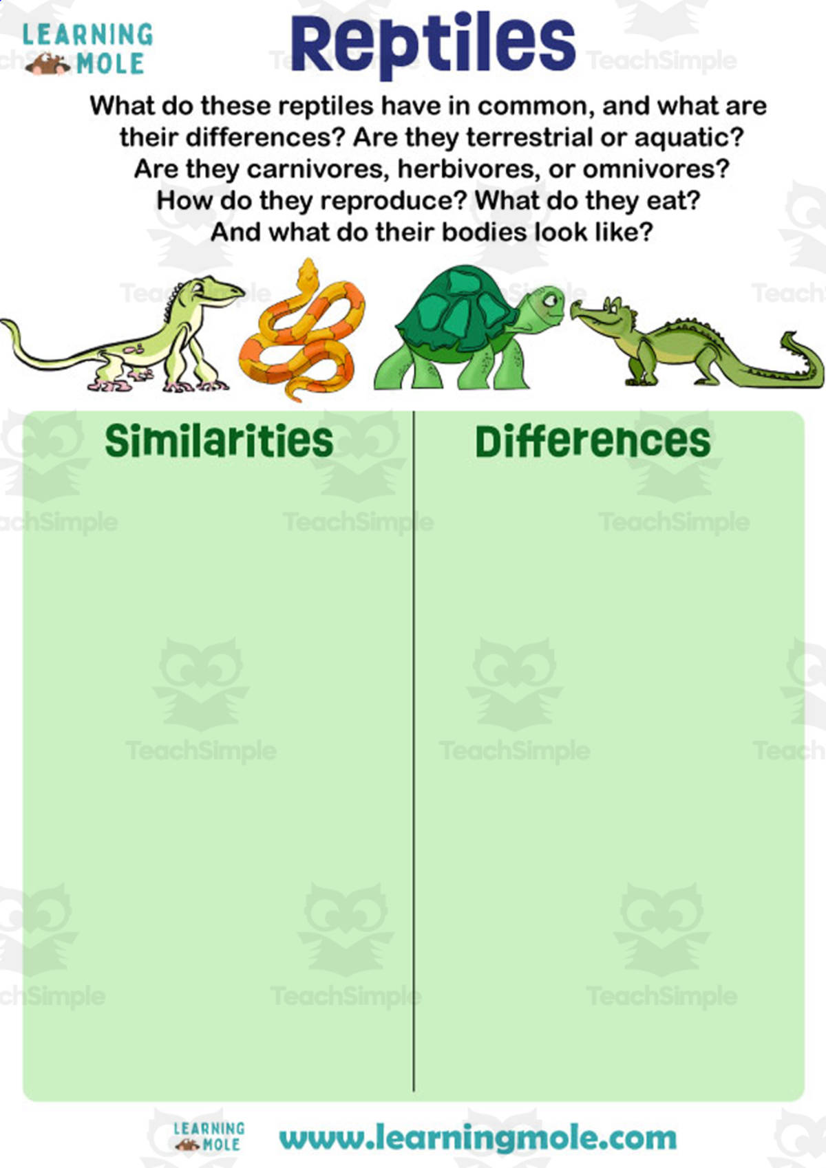 An educational teaching resource from Educational Voice entitled Reptiles Activity downloadable at Teach Simple.
