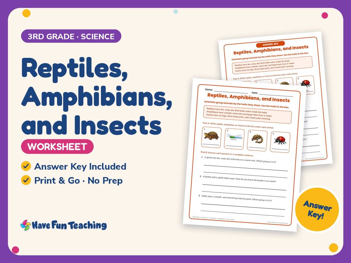 Reptiles, Amphibians, and Insects Worksheet – 3rd Grade Animals preview