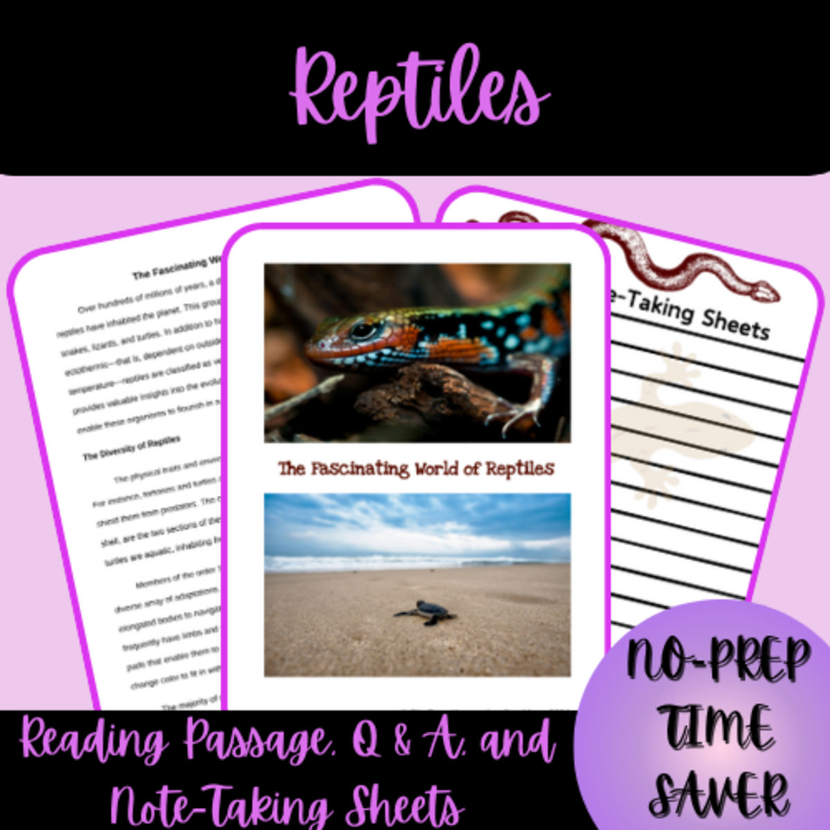 An educational teaching resource from Homeschool with Big Easy Homeschooling Mom entitled Reptiles Reading Passage, Q & A, and Note-Taking Skills downloadable at Teach Simple.
