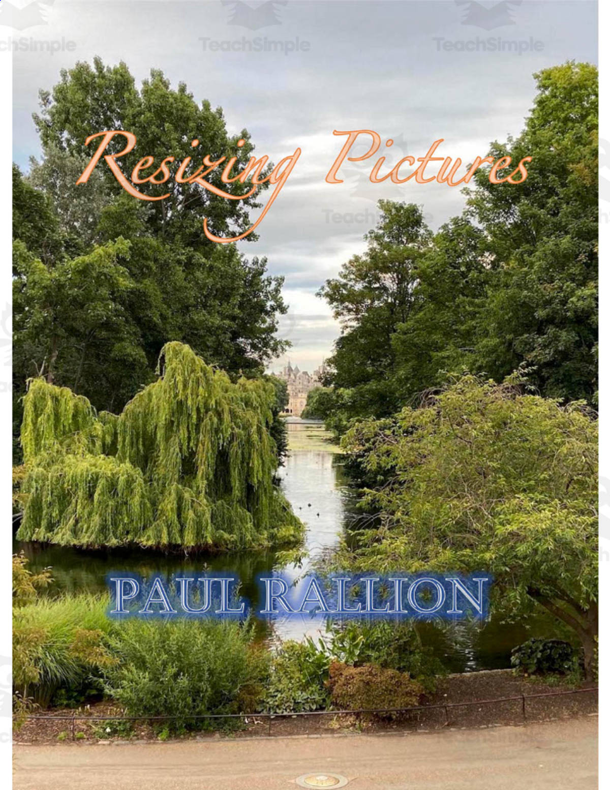 An educational teaching resource from Paul Rallion entitled Resizing Pictures Lesson downloadable at Teach Simple.