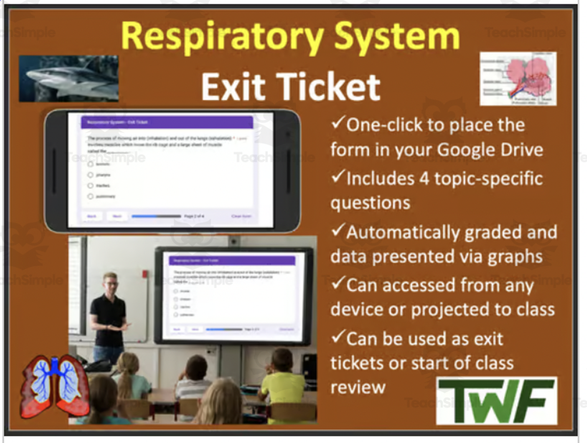 An educational teaching resource from Teach With Fergy entitled Respiratory System - Digital Exit Ticket and Review Activity downloadable at Teach Simple.