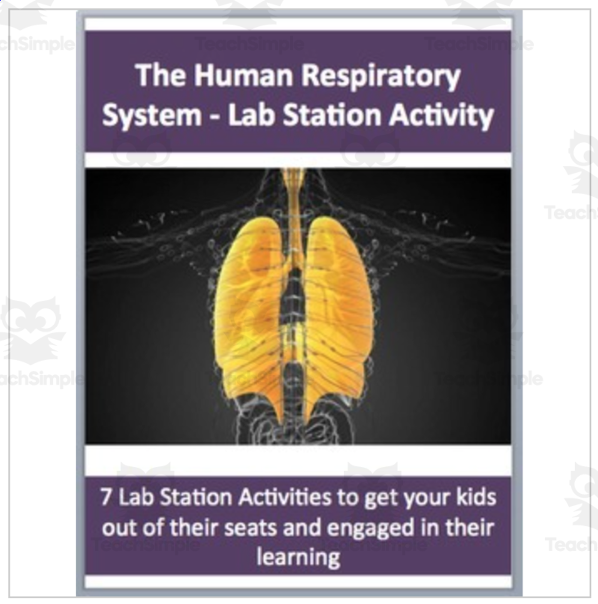 An educational teaching resource from Teach With Fergy entitled Respiratory System – Lab Station Activity downloadable at Teach Simple.