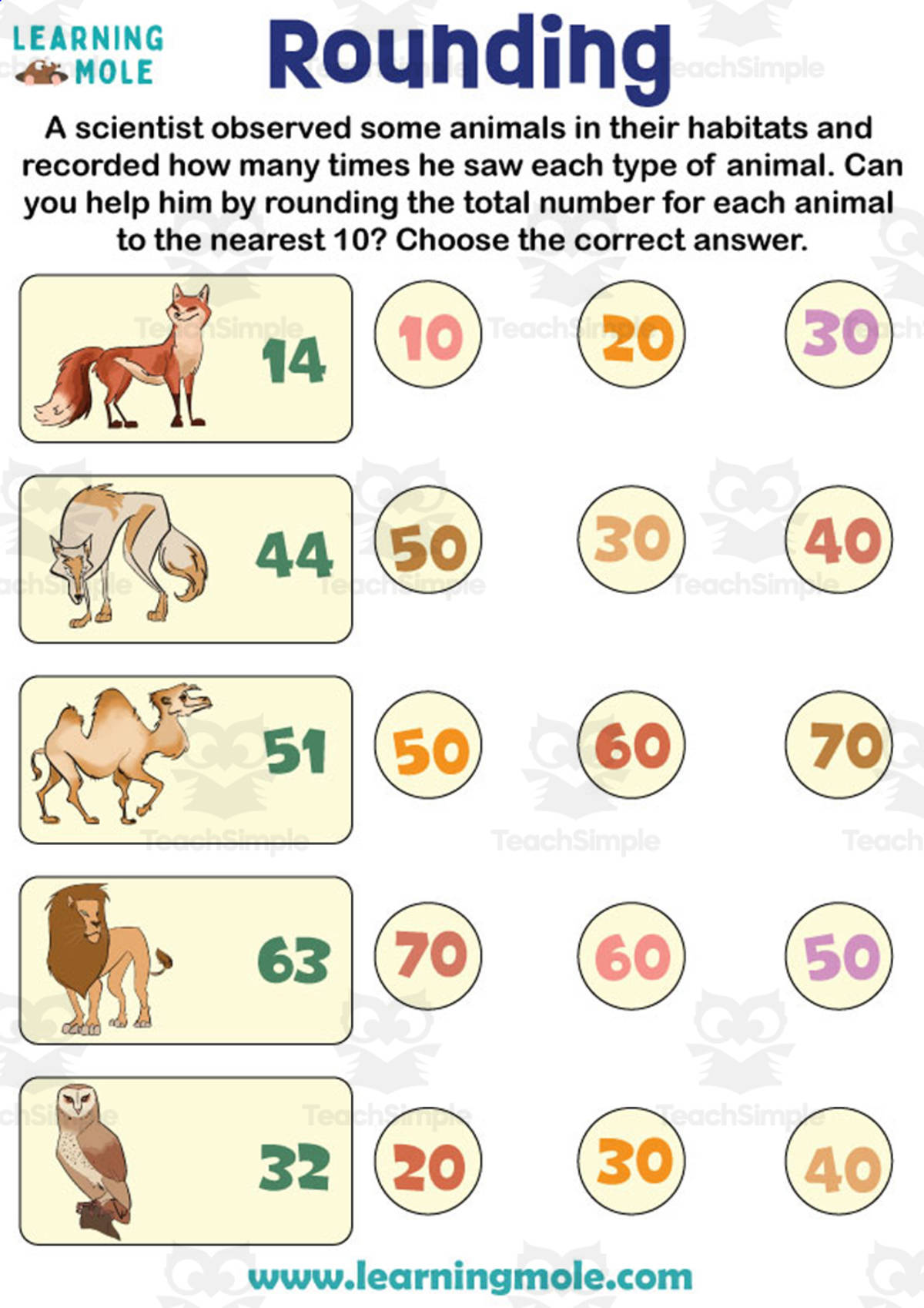 An educational teaching resource from Educational Voice entitled Rounding Down Activity downloadable at Teach Simple.
