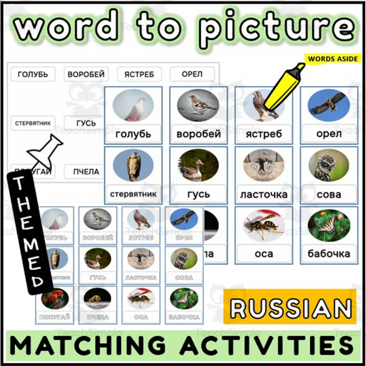 An educational teaching resource from WORDS ASIDE entitled Russian Word to Picture Activities Flashcards 1 downloadable at Teach Simple.