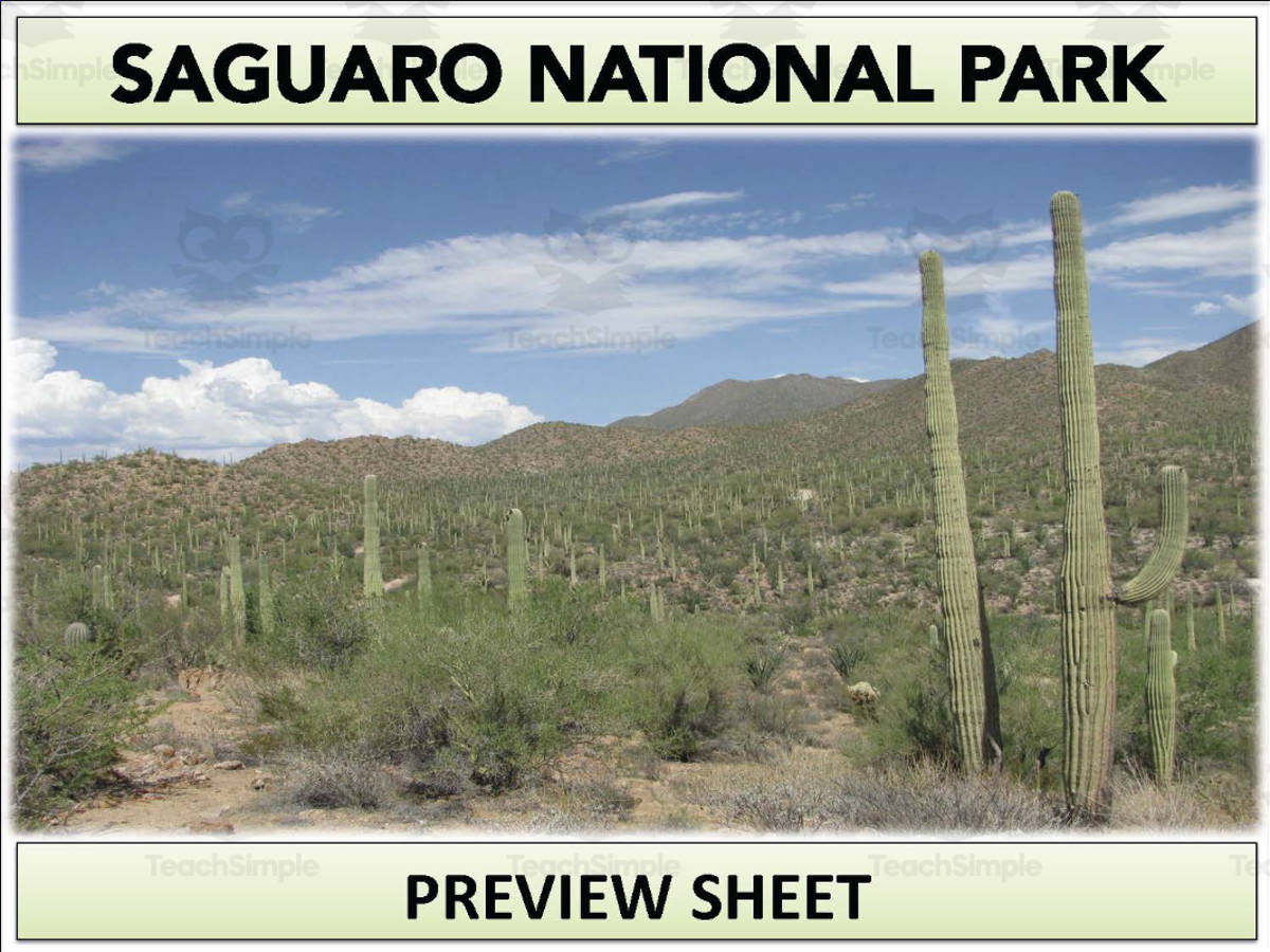 An educational teaching resource from Mr Gray History entitled Saguaro National Park Geography Unit downloadable at Teach Simple.