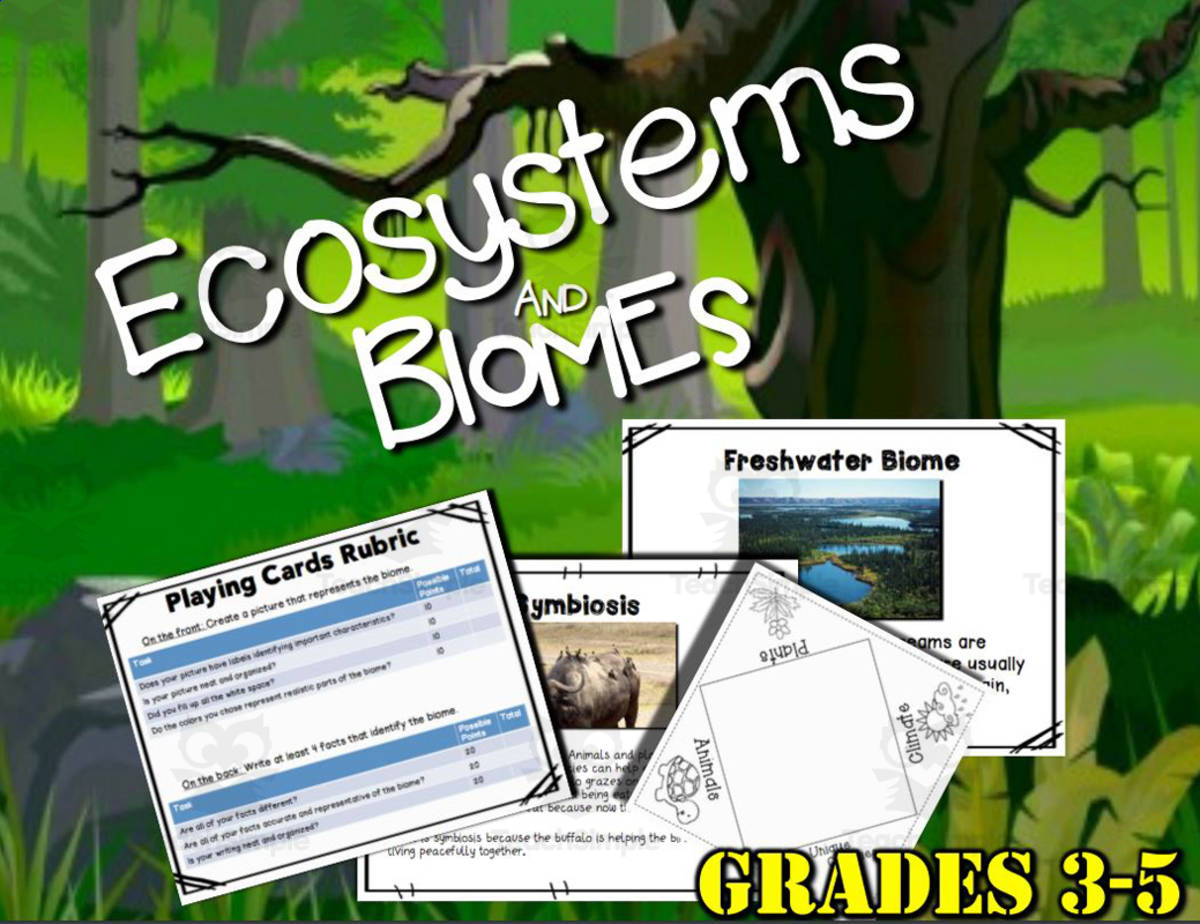An educational teaching resource from Big Apple Teaching entitled Science: Biomes and Ecosystems downloadable at Teach Simple.