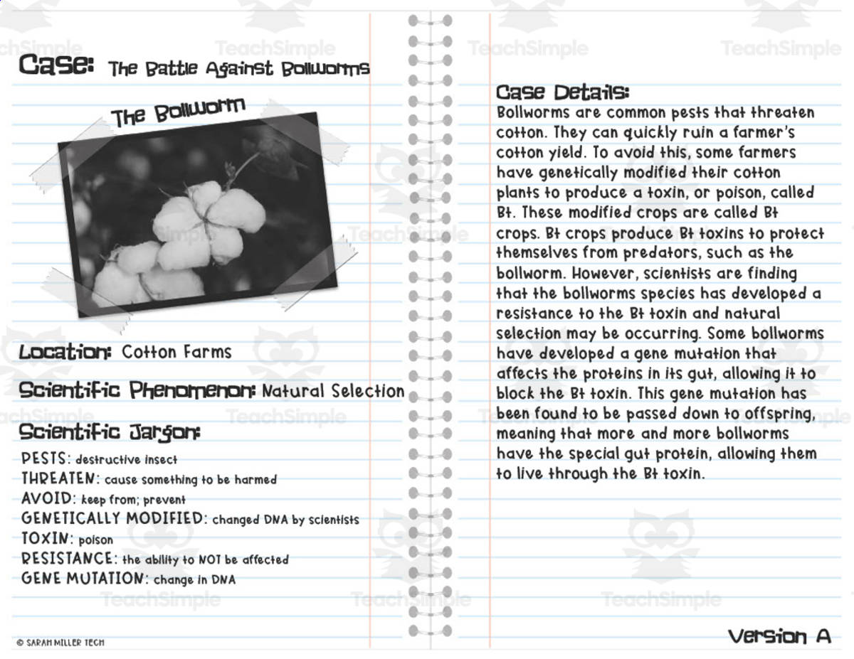 An educational teaching resource from Sarah Miller Tech entitled Science Natural Selection Case Study: The Battle Against Bollworms downloadable at Teach Simple.