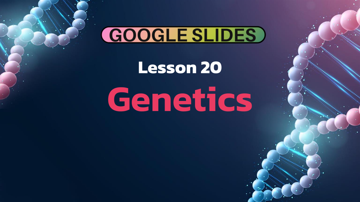 An educational teaching resource from Cored Education entitled Science Reading Passage 20: Genetics (Google Slides) downloadable at Teach Simple.