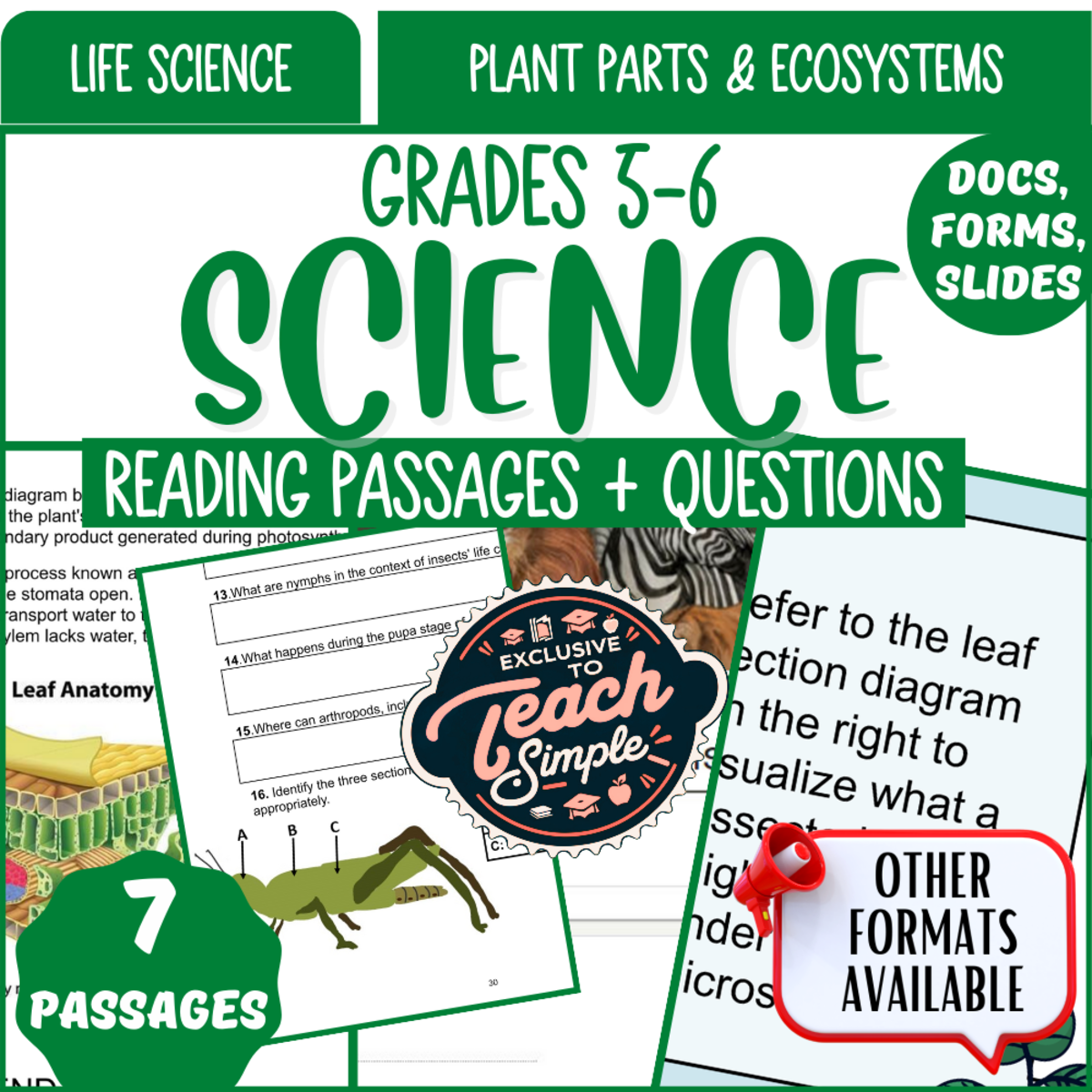 An educational teaching resource from Cored Education entitled Science Reading Passage on Plant Parts and Ecosystems (Google Drive) downloadable at Teach Simple.