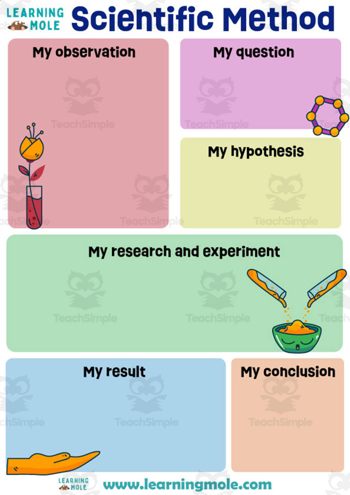 An educational teaching resource from Educational Voice entitled Scientific Method Hypothesis Activity downloadable at Teach Simple.