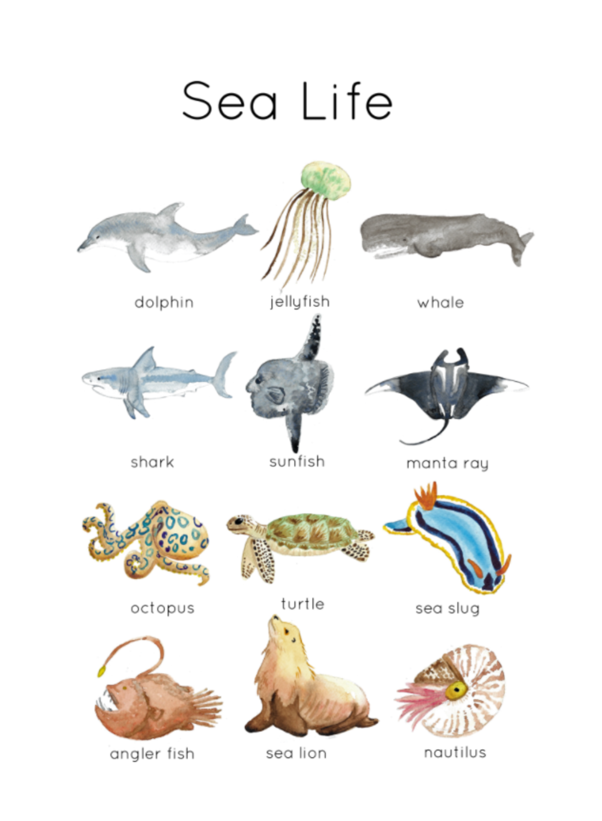 An educational teaching resource from Fiddleticks Education entitled Ocean Nature Study | Sea Life Flash Cards downloadable at Teach Simple.