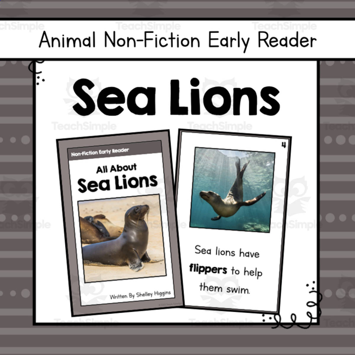 An educational teaching resource from Simply Schoolgirl entitled Sea Lions Early Reader Nonfiction Book downloadable at Teach Simple.