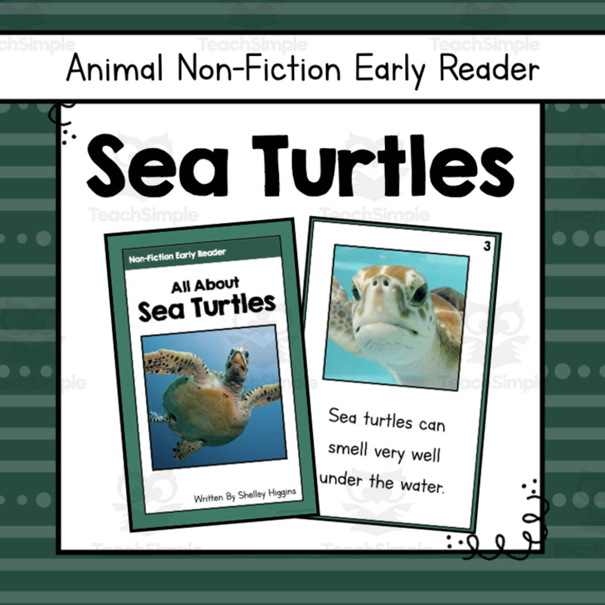 An educational teaching resource from Simply Schoolgirl entitled Sea Turtles Early Reader Nonfiction Book downloadable at Teach Simple.