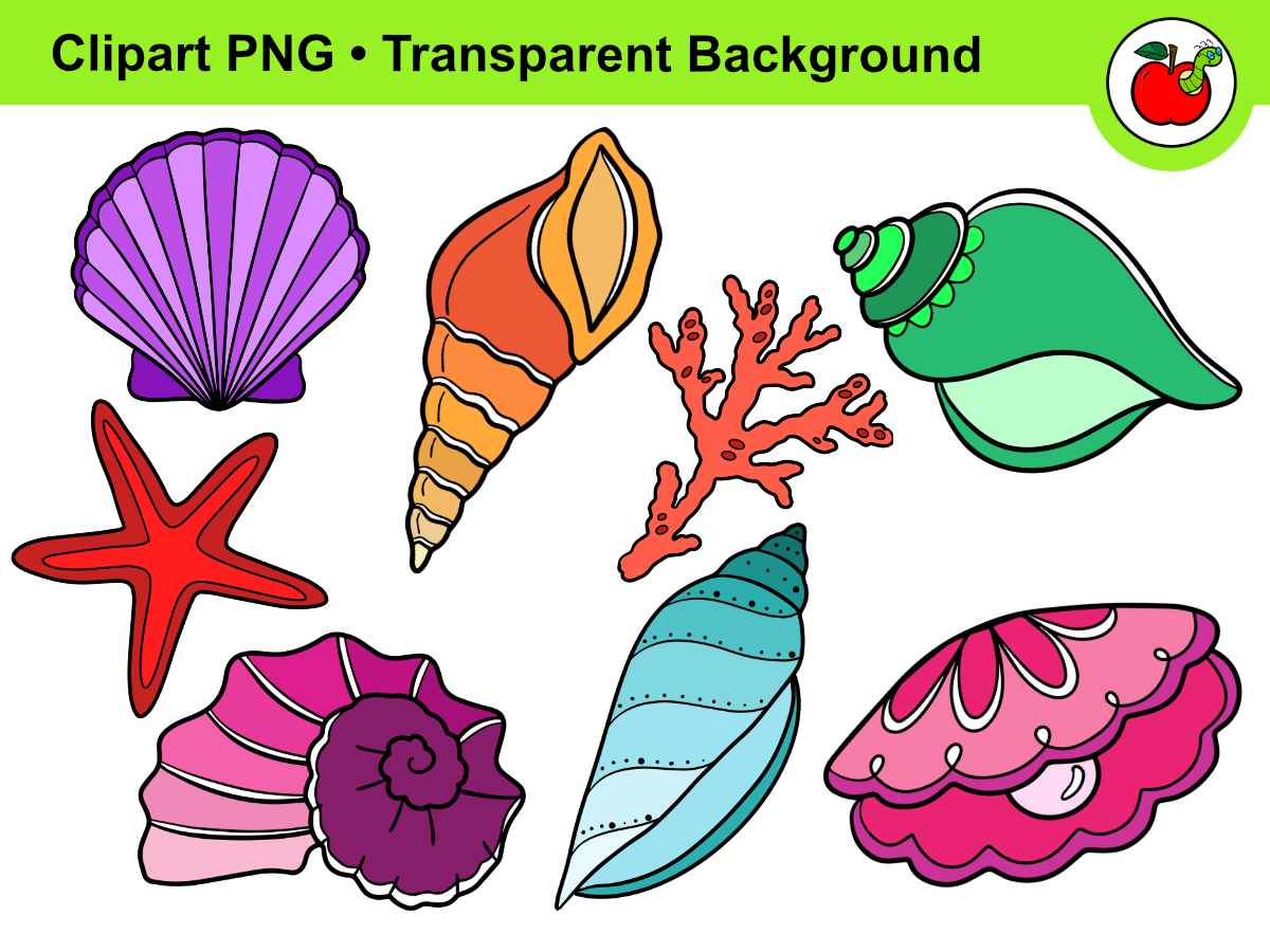 An educational teaching resource from Clipartino entitled Seashell Clipart – Shell Clipart, Beach Clipart, Summer Clipart downloadable at Teach Simple.